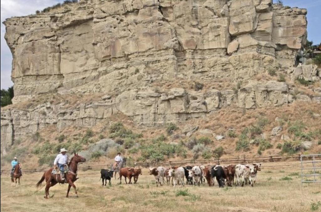 Montana Inn Near Little Big Horn Battlefield-Pompey Piller-Colstrip Forsyth ภายนอก รูปภาพ